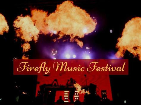 Revelers party in the woods at the Firefly Music Festival in Delaware. Party In The Woods, Firefly Music Festival, Firefly, Delaware, In The Woods, Powerpoint Presentation, Music Festival, Presentation, Free Download