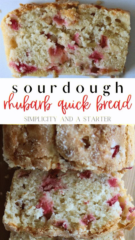 Pieces of tart rhubarb laced in a moist sourdough quick bread, this Sourdough Rhubarb Bread recipe is sure to be a go-to every summer! Made with sourdough discard, it's quick to make and topped with extra sugar for a sweet and crispy crust. Sourdough Discard Rhubarb Recipes, Sourdough Rhubarb Recipes, Rhubarb Sourdough, Sourdough Instructions, Quick Sourdough Recipes, Rhubarb Quick Bread, Sourdough Rhubarb, Sourdough Quick Bread, Sourdough Breakfast Recipes