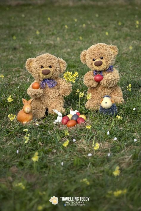 Cute Teddy Bear Pics, Baby Born Kleidung, Teddy Photos, Teddy Pictures, Teddy Bear Images, Teddy Bear Wallpaper, Bear Images, Cuddly Teddy Bear, Teddy Bear Pictures