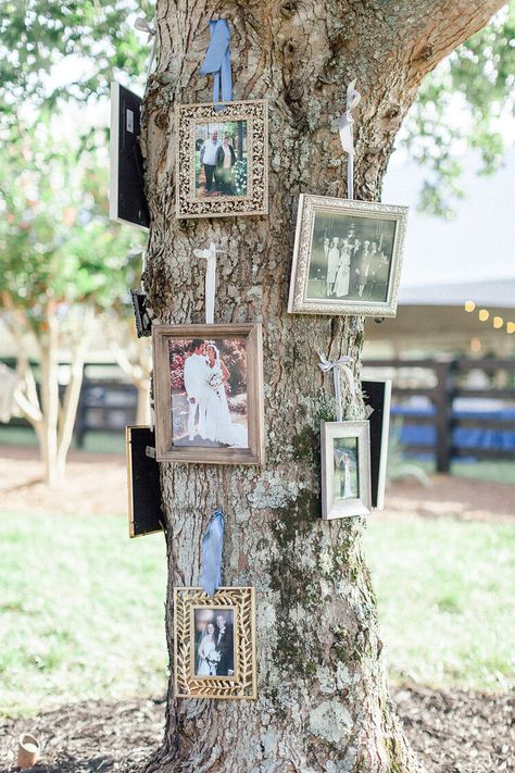 Chattanooga Wedding, Private Estate Wedding, Cottage Wedding, Brown Wedding, Outdoor Wedding Decorations, Jewish Wedding, Tree Wedding, Atlanta Wedding, Wedding Signage