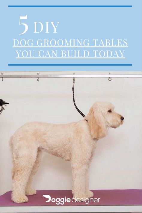 If you’re looking into getting a dog grooming table, you’ll know that they can cost over a thousand dollars. While it may be necessary to get a table, spending that kind of money is not always a possibility. Thankfully, there are plenty of DIY grooming projects that can save you money in the long run. Read more! #dog #dogideas #dogmom #dogtips #diygroomingtable #diy #doglover #dogoftheday #doglife #pet Diy Pet Grooming, Grooming Station, Diy Dog Grooming Station At Home, Diy Home Dog Grooming Station, Diy Dog Grooming Station, Dog Grooming Table Ideas, Grooming Table Dog Diy Ideas, Diy Pet Grooming Table, At Home Dog Grooming Station