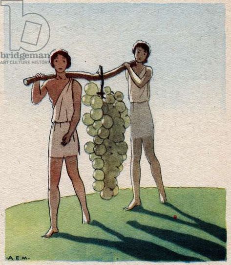 The return of Josue and Caleb with a huge bunch of grapes from the land of Canaan (Promised Land) Plate taken from �“The holy life”” illustrated by Andre edouard (AE) Marty (1882-1974) 1938 - “The return of Joshua and Caleb of Canaan (the Promised Land) with a bunch of grapes” Illustration by AE Marty from “La vie sainte”, 1938 - Private collection Exodus Aesthetic, Grapes Illustration, Joshua And Caleb, Bunch Of Grapes, Bible Quotes Telugu, Bible Words Images, Quotes Telugu, Bible Characters, Promised Land