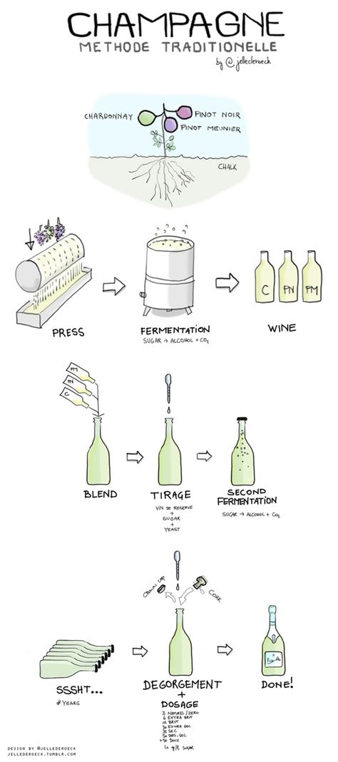 如何製成香檳 • How Champagne is made.  |  17個豪飲圖表，使一切更簡單 • 17 Booze Charts To Make Everything Easier Wine Facts, Wine Folly, Wine Knowledge, Wine Expert, Wine Education, Champagne Bubbles, Wine Event, Wine Guide, Wine Clubs