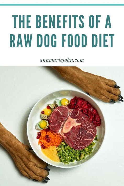 Raw Dog Food Diet Living In My Car, Living In A Car, Dog Raw Diet, Raw Dog Food Diet, Raw Dog Food, Healthy Dog Treats Homemade, Natural Dog Food, Raw Dog Food Recipes, Raw Diet