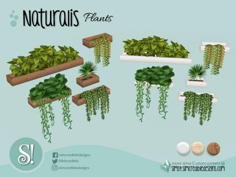 The Sims 4 Pack, Wall Plants, San Myshuno, Sims Packs, Pelo Sims, The Sims 4 Packs, Sims 4 Game Mods, Sims 4 Expansions, Sims 4 Cc Folder