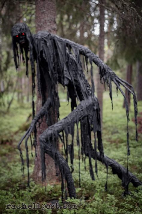 Haunted Forest Halloween Party, Haunted Graveyard Ideas, Haunted Graveyard Decorations, Halloween Forest Decorations, Scary Decorations Horror, Haunted Forest Party, Diy Haunted Trail Ideas, Haunted Forest Decorations, Homemade Haunted House