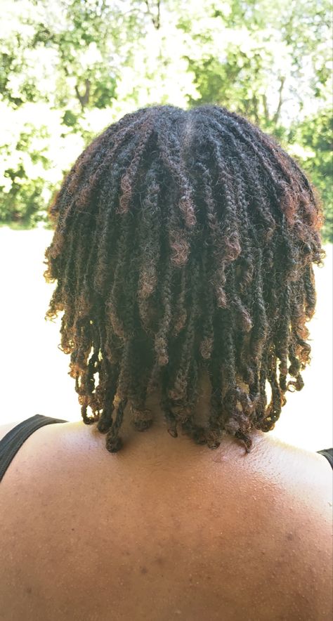 Braids as starter locs. One month into the journey . Look at the texture ! Braided Starter Locs, Braid Starter Locs, Braid Locs Starter, Starter Dreads, Starter Locs Styles, Locs Starter, Braid Locs, Dread Braids, Locs Styles