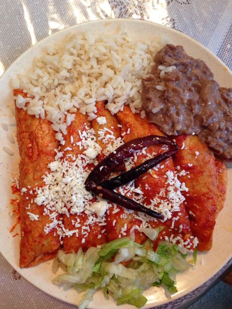 Enchiladas estilo Jalisco Jalisco Recipes, Enchiladas Michoacanas, Mexican Easter, Red Chicken Enchiladas, Hispanic Desserts, Lent Recipes, Calorie Meal Plan, Hispanic Food, Authentic Mexican