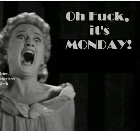 Best Funny Quotes Ever, Senior Humor, Monday (quotes), Workplace Humor, I Hate Mondays, Monday Memes, Hate Mondays, Monday Humor, Art Jokes