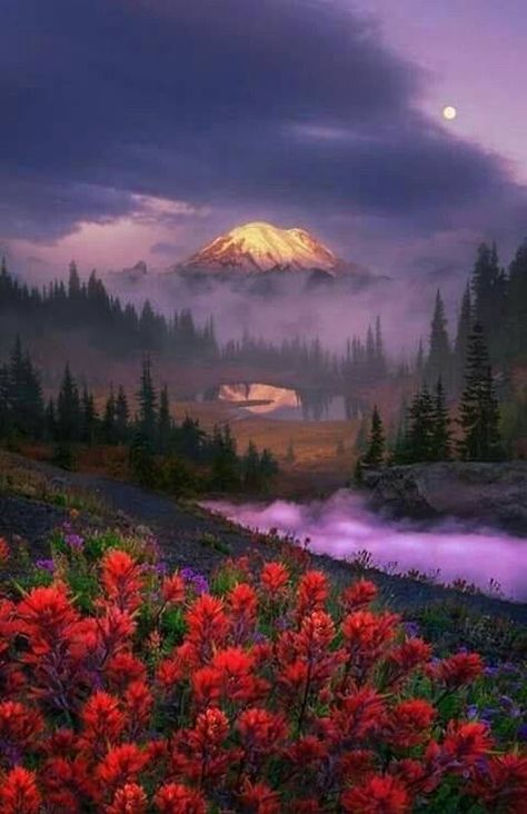 "Sunrise light illuminates Mount Rainier"- by Alex Noriega Image Nature, Pretty Landscapes, Alam Yang Indah, Beautiful Places To Travel, Nature Aesthetic, Pretty Places, Nature Wallpaper, Phone Wallpapers, Beautiful Photography