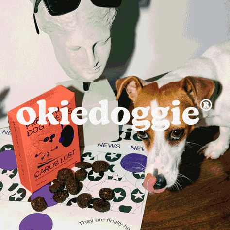 Okiedoggie #packaging #pet #graphicdesign Dog Treats Aesthetic, Dog Treats Packaging, Dog Treat Packaging, Pet Packaging, Pet Food Packaging, Dog Marketing, Pet Brand, Pet Branding, Dog Brand