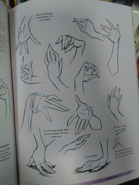 Cupped Hands Drawing Reference, Hand Anatomy Drawing Sketches, Hands Figure Drawing, Hand Figure Drawing, Hands Anatomy Drawing, Hand Drawing Reference Tutorials, Hands Behind Back Pose Drawing, Standing Reference Drawing, Hand Drawing References