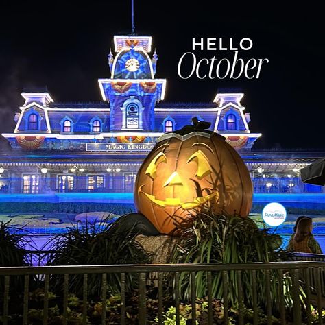 🎃👻Well Hello there October! I can't wait to take in the fall and Halloween decor at Walt Disney World and beyond in just a few days. Follow along as I share our fun fall adventure. See you real soon!!! Fall And Halloween Decor, Well Hello There, Hello October, Fall And Halloween, I Can't Wait, Hello There, Fall Fun, In The Fall, Walt Disney World