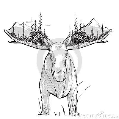 Moose Forest And Mountains Illustration - Download From Over 40 Million High Quality Stock Photos, Images, Vectors. Sign up for FREE today. Image: 44776992 The Nature Drawing, Moose Paintings, Moose Sketch, Moose Logo Design, Deer Drawings, Ck Shirt, Cartoon Moose, Maine Tattoo, Ellicottville Ny