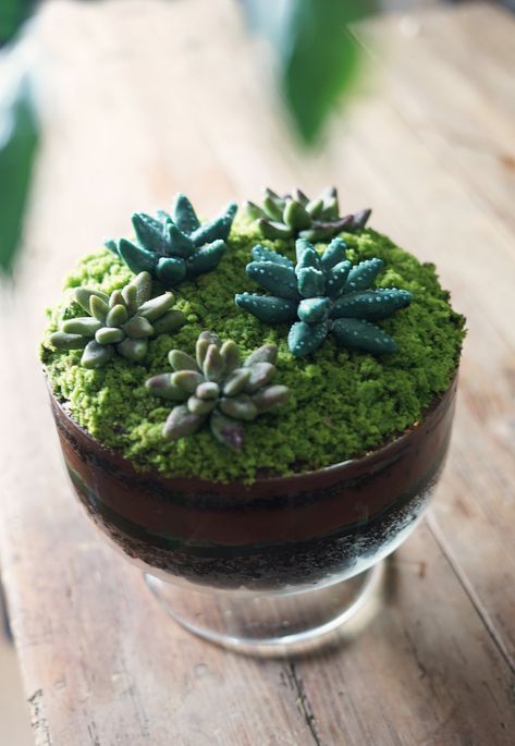 Terrarium Trifle and The Importance of Foundation — The Wondersmith Terrarium Trifle, River Cake, Edible Terrarium, Moss Cake, Mint Cheesecake, Playing With Food, Buckwheat Cake, Blueberry Powder, Matcha Tea Powder