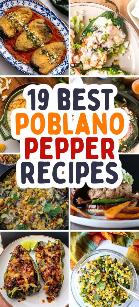 These poblano pepper recipes are all perfectly delicious and an awesome way to use up a harvest. From stuffed poblanos to soups, you’ll have no problem finding your next favorite weeknight meal. Recipes Poblano Peppers, Pablano Pepper Freezing, Chili Renos Chile Relleno Easy Recipes, Stuffed Peppers Poblano, Chili Stuffed Peppers, Recipes With Poblano Peppers Dinners, Poblano Burrito, Stuffed Ancho Peppers, Poblano Recipes Mexican Dishes