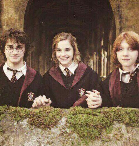 Harry with his best friends Ron and Hermione Ron Hermione And Harry, Hermione And Harry, Citate Harry Potter, Harry Hermione, Art Harry Potter, Ron Hermione, Harry Potter Ron, Buku Harry Potter, Funny Friends