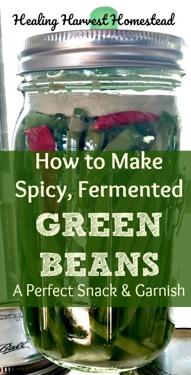 Fermented Green Beans Recipe, Lacto Fermented Vegetables, Fermented Green Beans, Fermented Vegetables Recipes, Lacto Fermented, Dilly Beans, Green Beans Recipe, Fermented Veggies, Can Green Beans