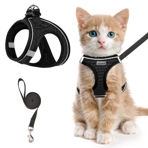 Cat Harness and Leash for Walking Escape Proof, Adjustable Kitten Vest Harness Reflective Soft Mesh Puppy Harness for Outdoor Harness For Cats, Cat Leash And Harness, Cute Cat Accessories, Kitten Stuff, Pet Gadgets, Kitten Harness, Cat Harness And Leash, Harness And Leash Set, Walking Harness