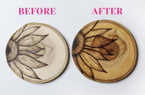 Wood Burning With Watercolor, Wood Burn Mushroom, Snail Wood Burning, Wood Burned Mushroom, Forest Wood Burning, Beginner Wood Burning Pattern, Sealing Wood, Wood Coasters Diy, Wood Burned Gifts