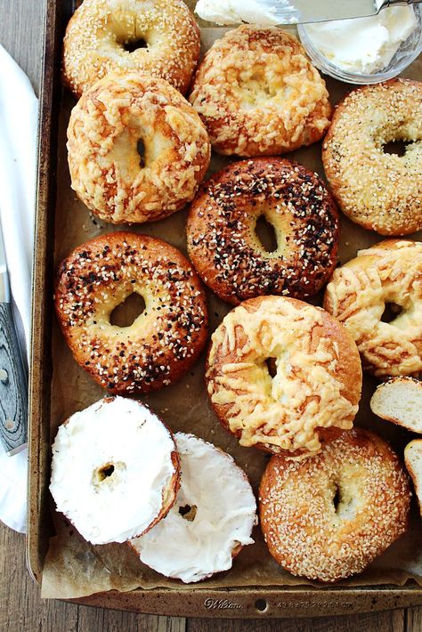 Easy Bagels, Bagel Flavors, Ny Deli, Homemade Hamburger Buns, Bagels Recipe, Yeast Packet, Active Dry Yeast, Cranberry Bread, Homemade Bagels