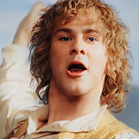 Merry Lotr, Meriadoc Brandybuck, Merry Brandybuck, Dominic Monaghan, Craig Parker, James Nesbitt, Billy Boyd, Merry And Pippin, Lotr Art