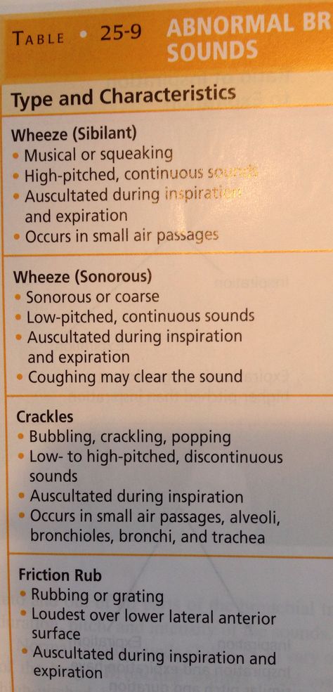 Breath Sounds Respiratory Nursing, Nursing Respiratory, Emt Study, Lung Sounds, Nursing Study Tips, Paramedic School, Nurse Notes, Breath Sounds, Nursing Skills