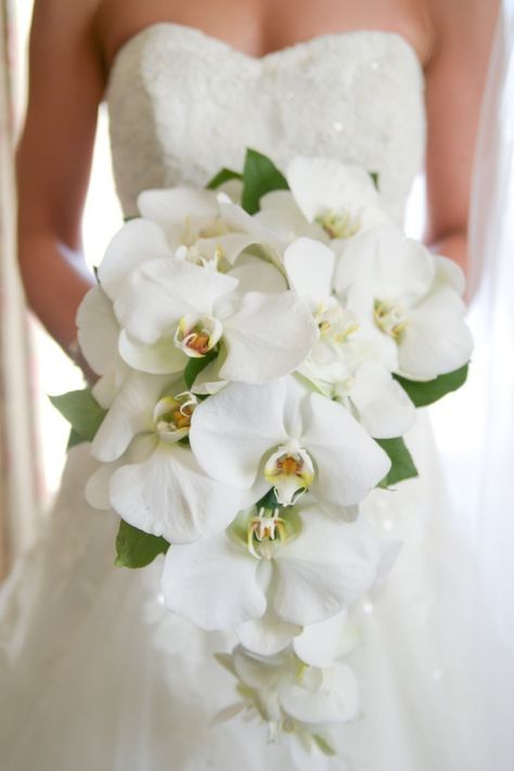 Orchid Bridal Bouquets, Orchid Bouquet Wedding, Elegant Winter Wedding, Orchid Bouquet, Winter Wedding Flowers, Orchid Wedding, White Bridal Bouquet, Fine Photography, Wedding Table Flowers