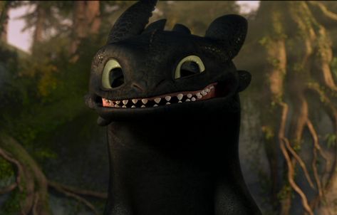 he smile Hiccup Httyd, Toothy Smile, Httyd Toothless, Httyd Hiccup, Night Fury Dragon, Toothless Dragon, Httyd Dragons, Dragon Trainer, Night Fury