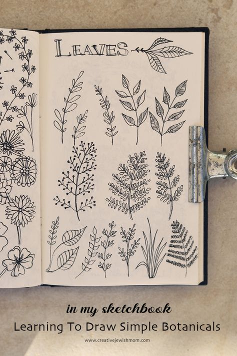 Plant Sketchbook Page, Sketch Book Plants, Different Leaf Drawings, Spring Sketchbook Ideas, Botanical Drawings Sketchbooks, Scrapbook Drawing Ideas Doodles, Sketches For Journal, Skchetbook Ideas Art, Sketch Book Filler Ideas