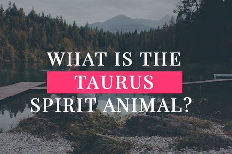 What is the Taurus spirit animal? Taurus Spirit Animal, Aura Of A Taurus, Taurus New Moon, Taurus Turn Ons, Taurus Love, Taurus Memes Truths, Taurus Zodiac, Animal Totems, Spirit Animal