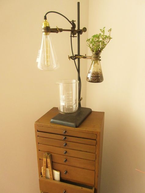 Chemistry Home Decor, Biology Room Decor, Chemistry Room Decor, Lab Decoration Ideas, Vintage Science Aesthetic, Witch Apartment, Science Room Decor, Industrial Chemistry, Academia Aesthetic Room