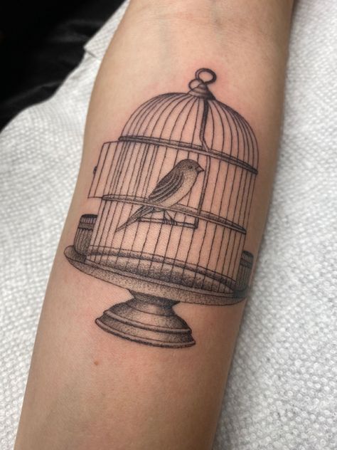 Tattoo, bird in cage tattoo, arm tats Bird In Frame Tattoo, Vintage Bird Cage Tattoo, Bird In Cage Tattoo, Cage Bird Tattoo, Bird And Cage Tattoo Freedom, Caged Bird Tattoo, Bird Cage Tattoo, Jail Tattoos, Birdcage Tattoo