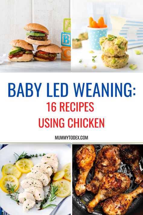 Chicken Recipes For Baby Led Weaning, Chicken Blw Baby, Blw Chicken Recipes, Baby Chicken Recipe, Chicken Recipes For Babies, Blw Chicken, Baby Led Weaning Chicken, Chicken For Babies, Blw Dinner