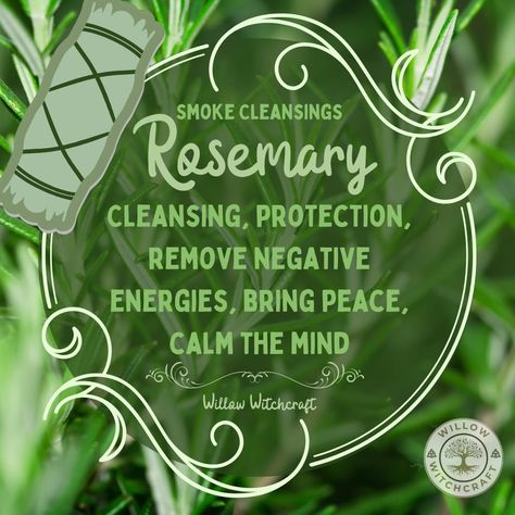 Rosemary Meaning, Essential Oil Meanings, Spiritual Plants, Herb Correspondences, Incense Benefits, Herbs Properties, Cleaning Energy, Herb Magick, Cleansing Incense