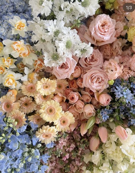 Aurora Wedding, Wedding Collage, Pastel Wedding Flowers, Color Celeste, Bloom Baby, Flower Therapy, Beautiful Bouquet Of Flowers, Pastel Wedding, Wildflower Wedding