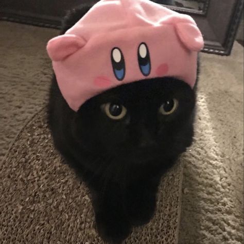 Kirby Hat, Matching Profile, Kirby, A Black, Black Cat, Lily, Twitter, Pink, Black