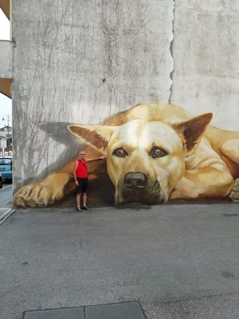 Dog Mural, Street Art Illusions, Italy Photos, Street Art Utopia, Sidewalk Art, Street Mural, Street Painting, Urban Street Art, 3d Street Art