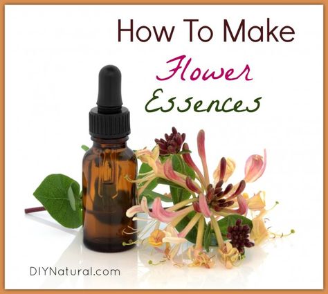 How To Make Flower Essenses Flower Essences Remedies, Bach Flower Remedies, Flower Remedy, Homemade Lotion, Herbal Apothecary, Natural Healing Remedies, Good Ideas, Flower Essences, What To Use