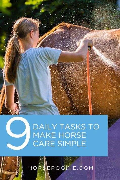 Daily Horse Care Routine, Taking Care Of Horses, Horse Worming Schedule, Hoof Care, Horse Care Tips, Horse Camp, Horse Trainer, Equestrian Lifestyle, Ranch Life