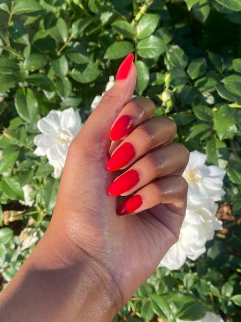 Summer Nails 2024 French, Vibrant Red Nails, Summer Red Nails 2024, Almond Red Acrylic Nails, Bright Red Almond Nails, Bright Almond Nails, Summer Vacay Nails, Ruby Red Nails, Summer Red Nails