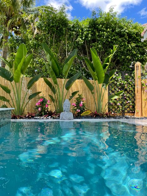 Tropical Garden Pool Design, Miami Backyard Landscaping, Pool Side Decorating Ideas Patio, Pool Entryway Ideas, Pool Corner Landscaping, Backyard Landscaping Around Pool, Pool Tropical Landscaping, Tropical Pool Decor, Tropical Landscaping Front Yard Florida Garden Ideas