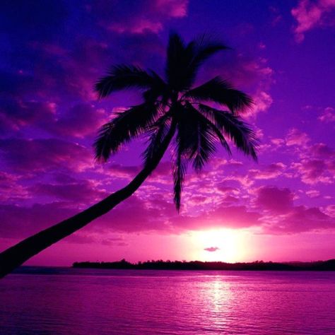 Purple Sunset Wallpaper, Monochromatic Pictures, Monochromatic Photography, Sunset Purple, Purple Vibe, Purple Sunset, Sunset Wallpaper, One Color, Black And White