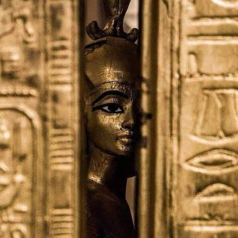 Pharoah Aesthetic, Ancient Egypt Aesthetic, Egyptian Aesthetic, Egypt Aesthetic, Ancient Egyptian Artifacts, Egyptian Mummies, Egyptian Artifacts, Ancient Egypt Art, Old Egypt