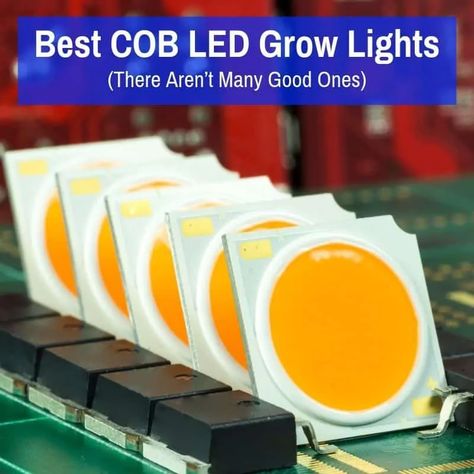 Most of the COB LED grow lights on the market are worthless. This review and comparison will help you find the best ones and figure out which is perfect for your needs. Lighting Your Garden, Best Led Grow Lights, Led Grow Light, Grow Light, Led Grow, Led Grow Lights, Grow Lights, Off Grid, Most Popular