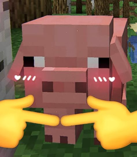 Minecraft Pig, Minecraft Funny, Minecraft Mods, Rafting, Random Stuff, Minecraft, Anime, Pins, Quick Saves