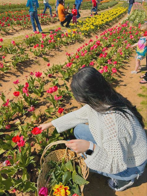 Tulip Field Picture Ideas, Tulip Garden Outfit Ideas, Tulip Field Poses, Tulip Picking Photos, Tulip Field Photoshoot, Tulip Picking, Field Poses, Tulip Farm, Flower Picking