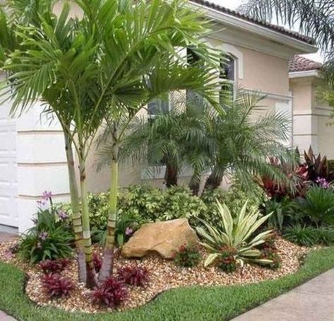 Garden With Palm Trees, Low Maintenance Landscaping Front Yard, Landscape Ideas Front Yard Curb Appeal, Trees For Front Yard, Palm Trees Landscaping, Garden Shade, Front Yards Curb Appeal, Bar Mini, Florida Landscaping