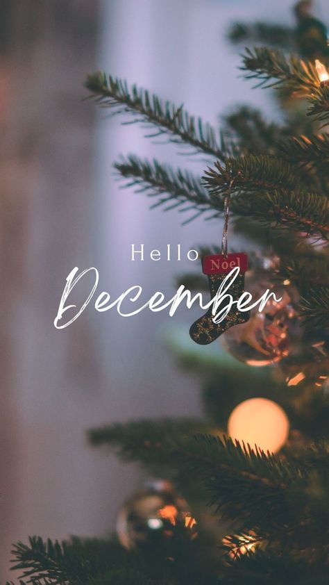 Hello December Aesthetic, December Wallpaper Christmas, Hello December Wallpaper, December Wallpaper Aesthetic, December Aesthetic Wallpaper, Hallo December, December Wallpaper Iphone, Hello December Images, Month Wallpaper