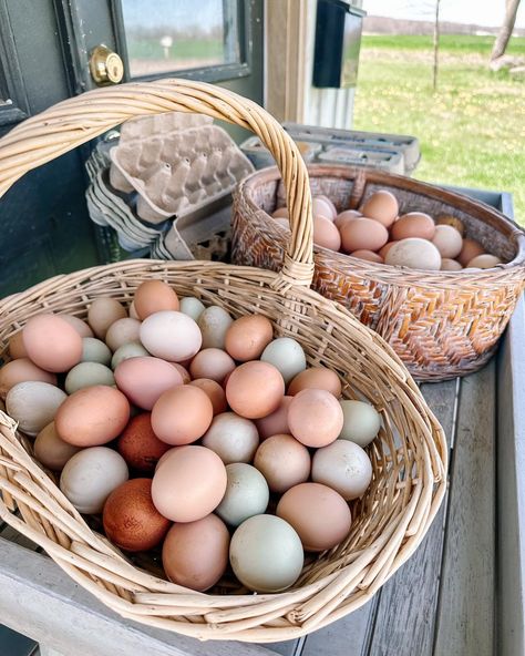 Anyone need eggs?! 🥚🥚 Todays eggs are on the shed porch! There’s 6 dozen already boxed up and a couple baskets more for you to fill your own carton! You can expect to always be able to help yourself here (unless I post we’ve sold out for the day, which is rare.) I usually get each days fresh eggs out by about 10am. We’re also running low on cartons so if you have any to spare, please leave them! We suggest $4/dozen, as it seems to be the going rate… but leave whatever you can. Pay more, pay... Farmstand Ideas, Shed Porch, Egg Baskets, Shed With Porch, Mini Market, Furniture Design Wooden, Help Yourself, Egg Basket, Dressage Horses